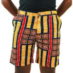 Chromatic Craze Shorts