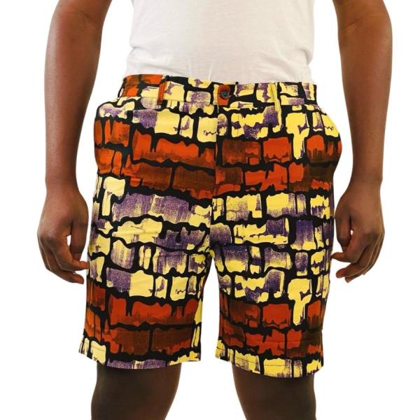 Color Splash Shorts